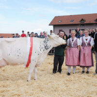 Schöneuter Ältere Holstein: Blanca - Bühler Josef, Küssnacht a.R.